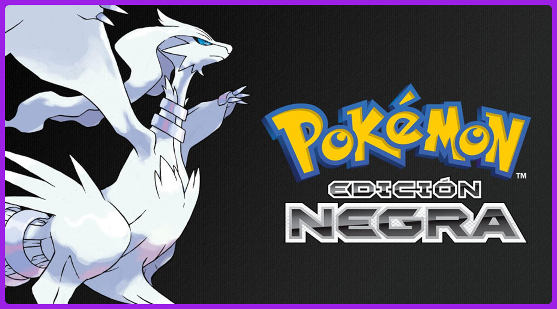 Pokémon Edición Negra